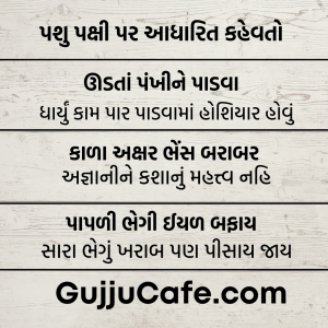 કહેવતો અને તેના અર્થ