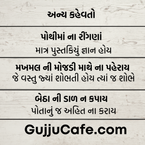 કહેવતો અને તેના અર્થ