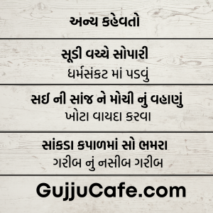 કહેવતો અને તેના અર્થ