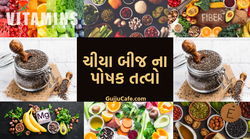 ચીયા બીજ ના પોષક તત્વો