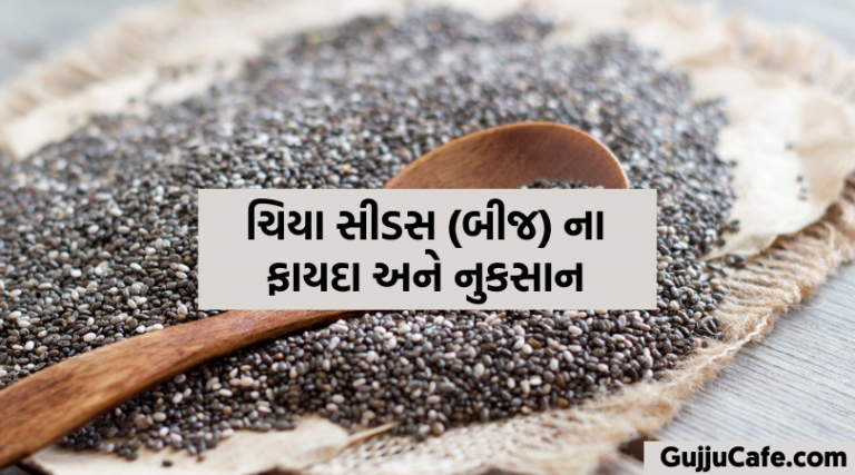 Chia Seeds fayda ane nuksan in Gujarati