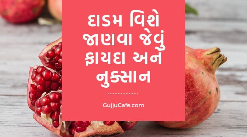 દાડમ વિષે જાણવા જેવું (Dadam Vishe Janva Jevu)