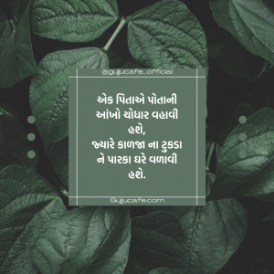 પિતૃ દિવસ (Father's Day) પર સુવિચાર