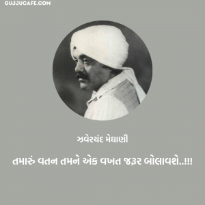 રાષ્ટ્રીય શાયર - ઝવેરચંદ મેઘાણી