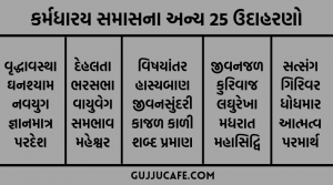 કર્મધારય સમાસના ઉદાહરણો