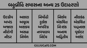 બહુવ્રીહિ સમાસના ઉદાહરણો