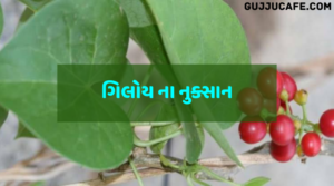 ગિલોય (Giloy) na fayda Ane nuksan