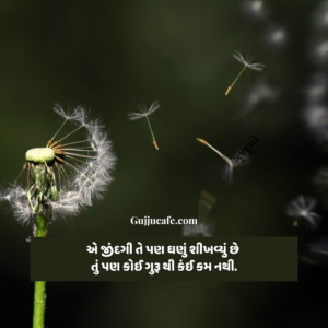 ગુરૂ પૂર્ણિમા નું મહત્વ અને શુભકામના સંદેશાઓ